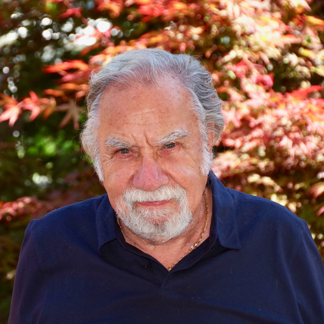 John Lawrence Reynolds | Award Winning Canadian Author of Fiction & Non-Fiction Books